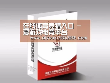 项目名称十三