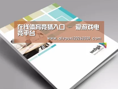 项目名称九