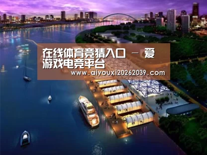 案例展示八