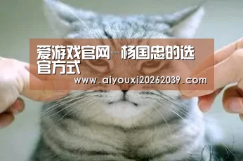 爱游戏官网-杨国忠的选官方式(图2) 爱游戏APP