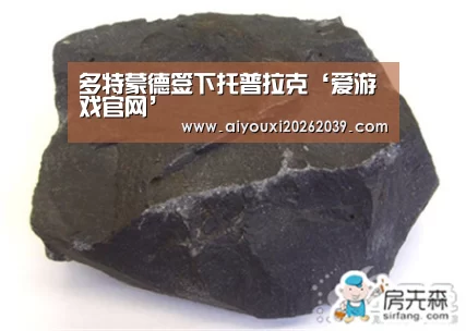 爱游戏APP