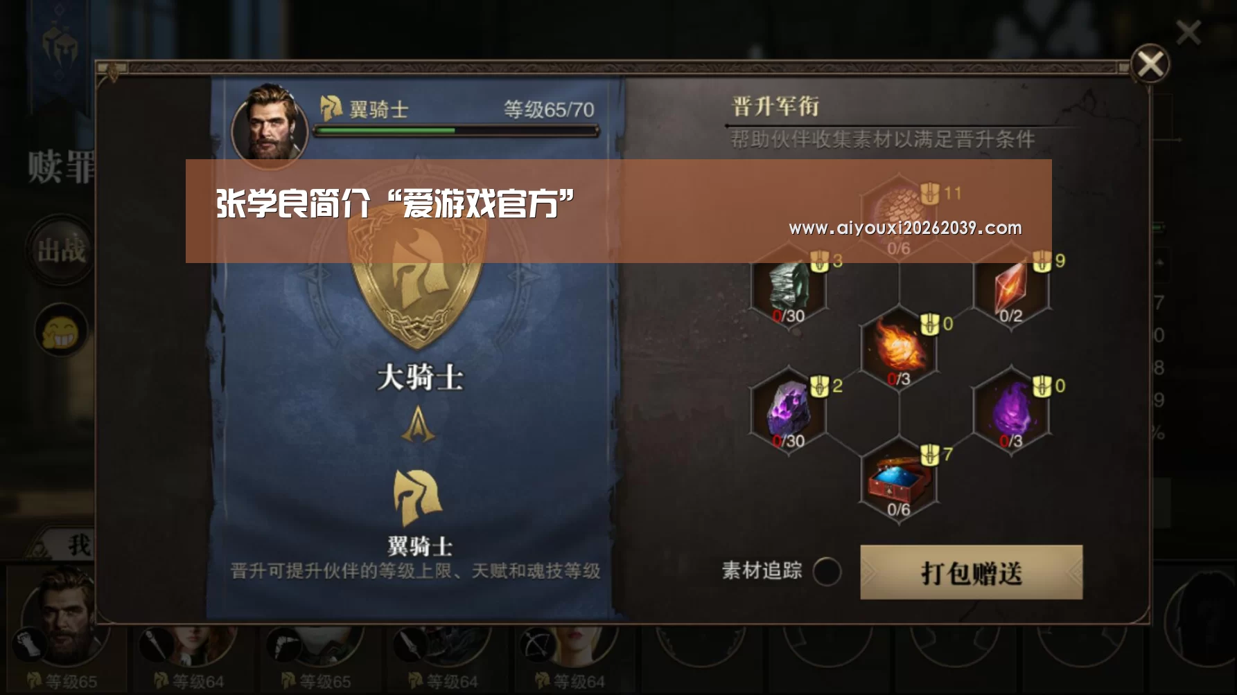 爱游戏APP