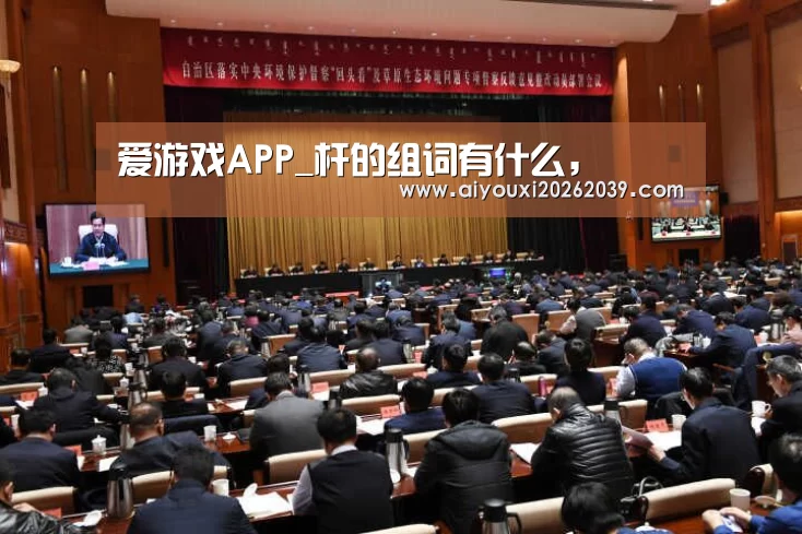 爱游戏官网