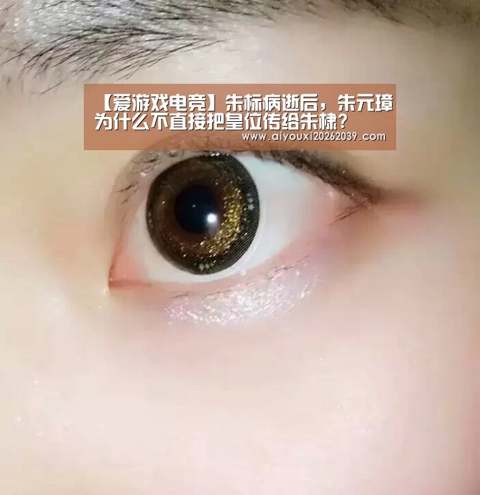 【爱游戏电竞】朱标病逝后,朱元璋为什么不直接把皇位传给朱棣?(图2) 爱游戏官网
