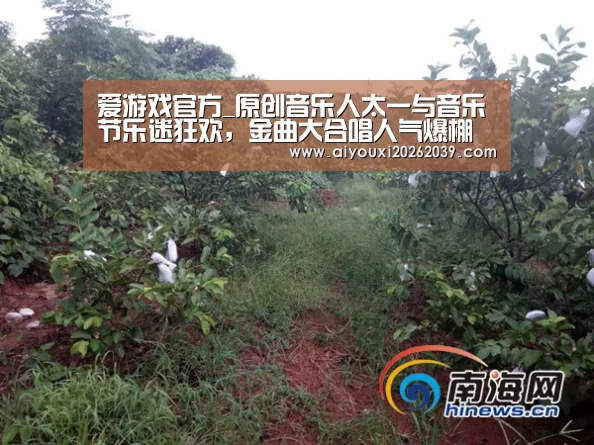 爱游戏官方