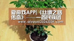 爱游戏APP|《丝绸之路传奇》——一首民族团结的赞歌(图3) 爱游戏官方
