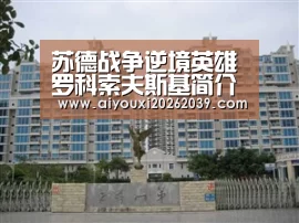 苏德战争逆境英雄罗科索夫斯基简介_爱游戏APP(图4) 爱游戏官方