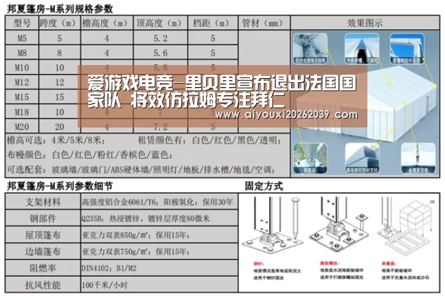 爱游戏电竞-里贝里宣布退出法国国家队 将效仿拉姆专注拜仁(图1) 爱游戏电竞