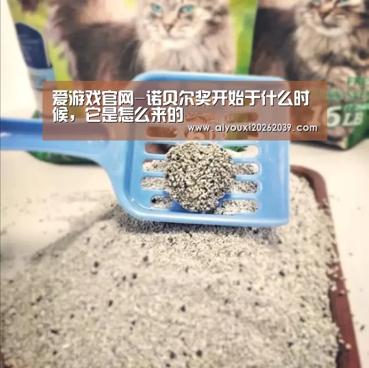 爱游戏官网-诺贝尔奖开始于什么时候,它是怎么来的(图2) 爱游戏电竞